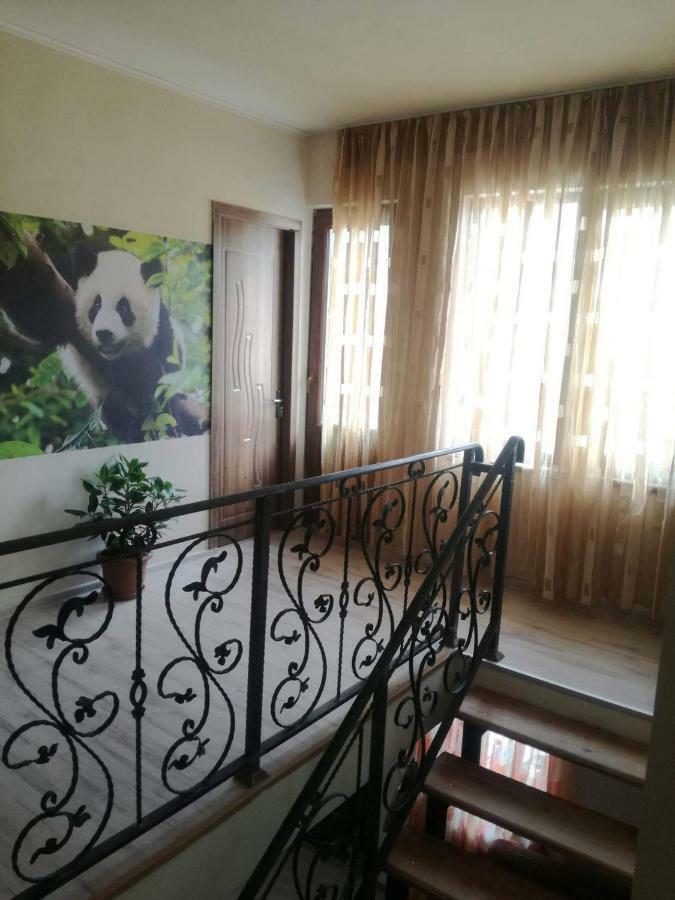 Hotel Happy Pandasn12 Bordżomi Zewnętrze zdjęcie
