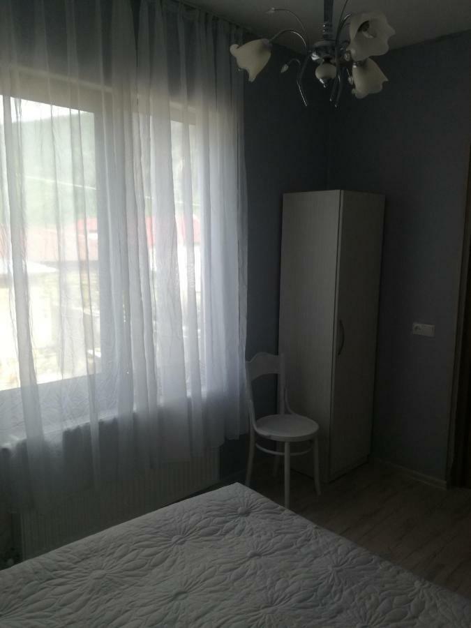Hotel Happy Pandasn12 Bordżomi Zewnętrze zdjęcie